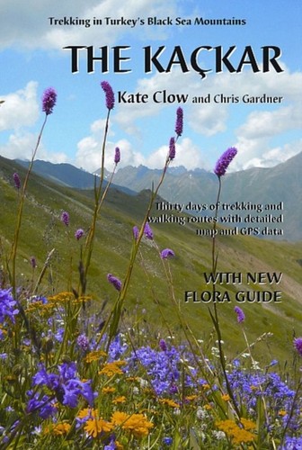 Kackar the kate clow - by,
