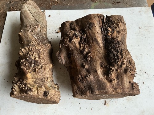 Yew block well seasoned - ,x2,well,
