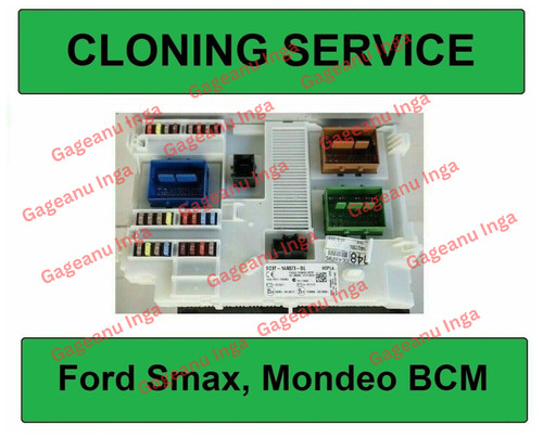 Cloning service for - cloning,