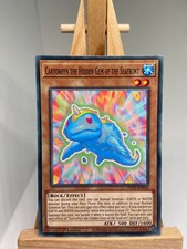 Cartorhyn The Hidden Gem Of