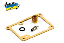 Carburetor kit SGR 4170256
