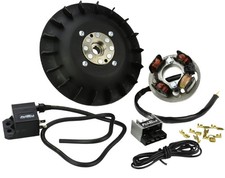 Pinasco Flytech Ignition Vespa