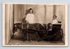 Children In Photographer's