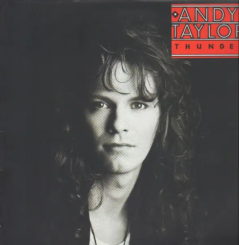 Andy taylor thunder - vinyl, lp