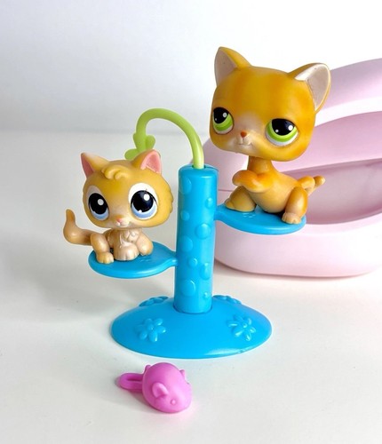 And kitten tabby cat - and,