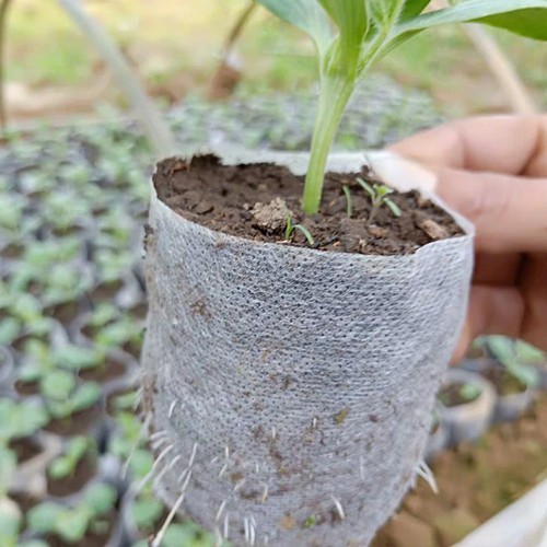 100pcs biodegradable plant - 100pcs,