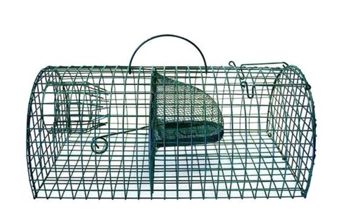 Rat cage large trap live - rat,
