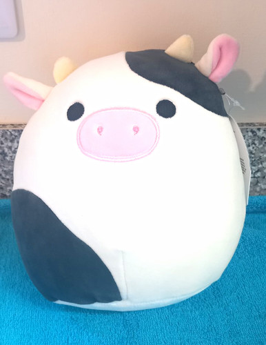 Squishmallows connor cow bnwt - squishmallows,