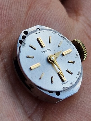 Tudor royal ladies watch - royal,