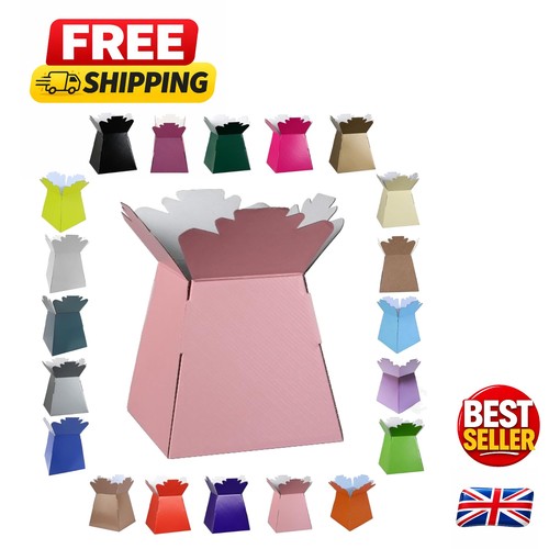 Lightweight flat pack - flat-pack, glossy