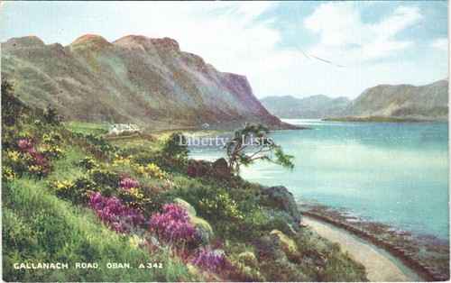 Gallanach road oban scotland - road,