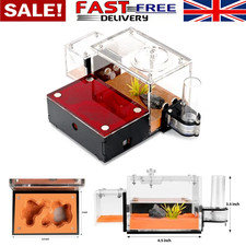 Ant Farm Formicarium Outworld