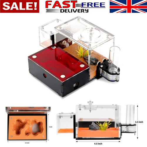 Acrylic ant farm formicarium - farm,