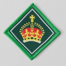 NEW Present Kings Scout Award