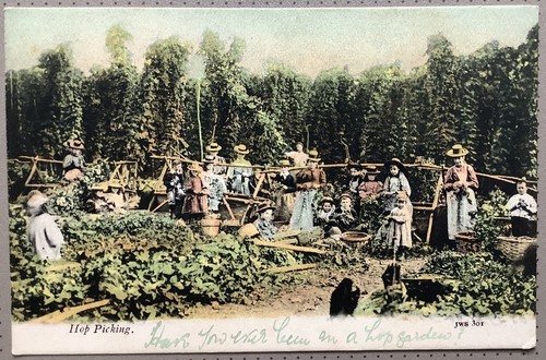 Hop picking kent - kent, edwardian