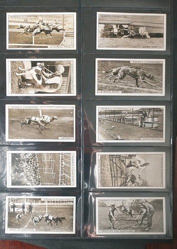 Ogdens greyhound racing - greyhound, 1st