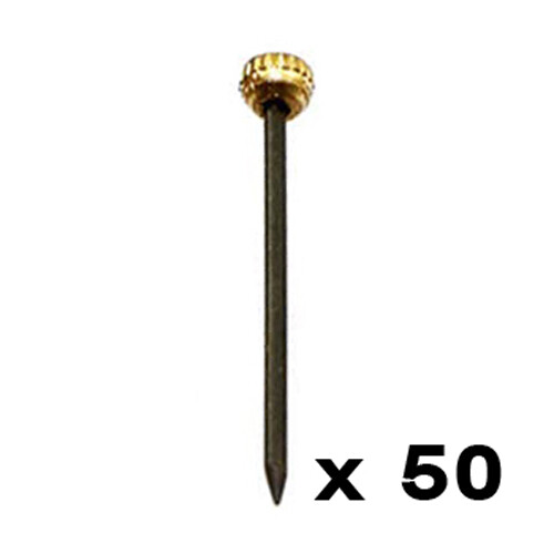 Brass head picture pins nail - picture,