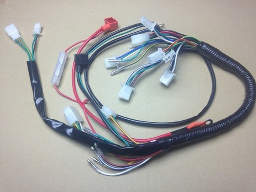 Wiring loom head - wiring, brake