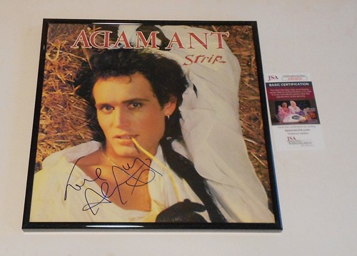 Framed adam ant strip album - adam,