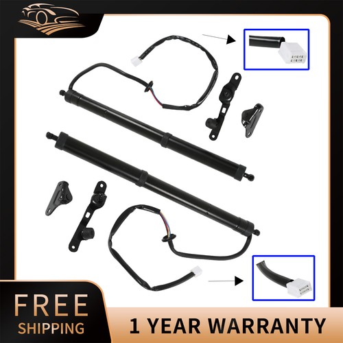 Rear tailgate strut - 2x,