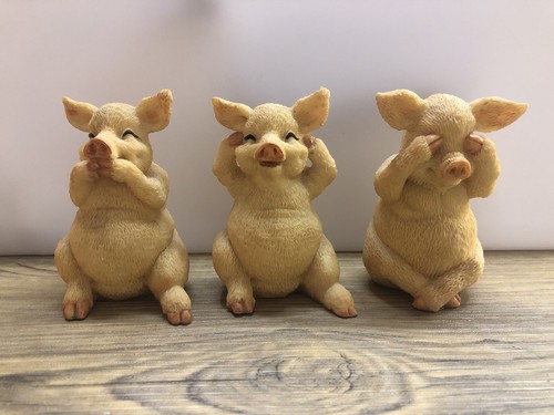 Wise pigs resin ornament - wise,