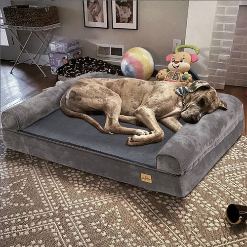 Orthopedic dog bed - orthopedic,