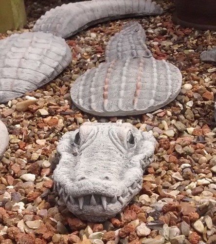 Submerged crocodile - submerged, (medium)