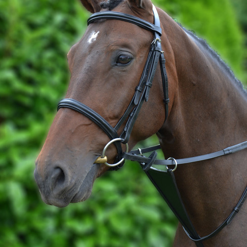 Horse bib martingale - horse,