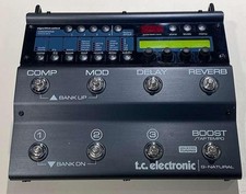 TC ELECTRONIC G-NATURAL