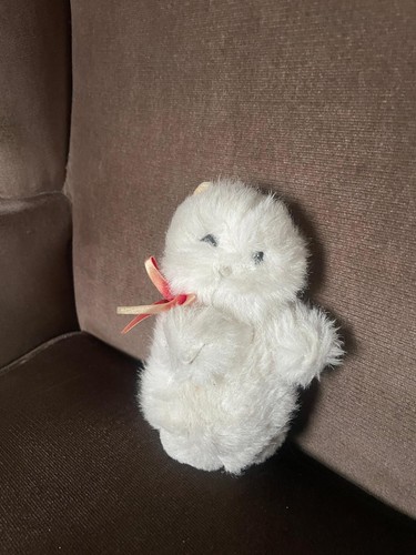 Small white bhs teddy bear - bhs,