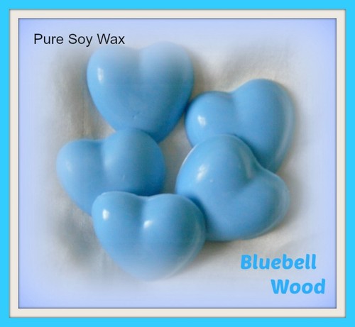 Fragrant bluebell wood big - 5,