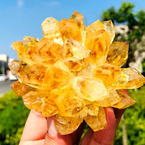New find natural yellow - find,
