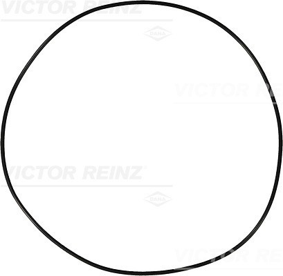 Fits reinz uszczelki - reinz,