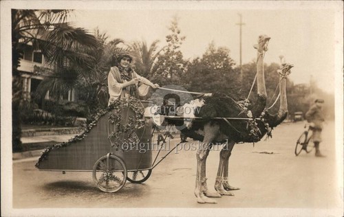 Woman driving cart - driving, by