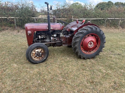 Massey ferguson three - massey,