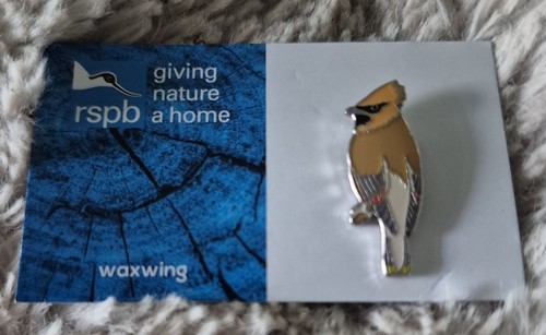 Rspb bird pin badge waxwing - bird,