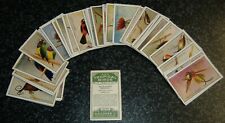 Gallaher - Zoo Tropical Birds 1st Series - Choose From Selection