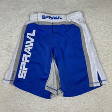 Sprawl Shorts Mens Small Blue