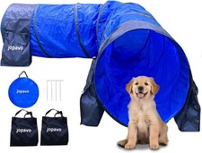 Dog Agility Training Equipment