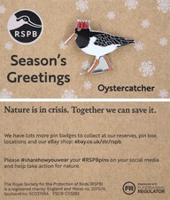 RSPB Pin Badge NIIC Special Christmas Oystercatcher P03149