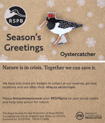 Rspb pin badge niic - niic, special