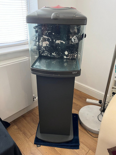 Complete mini marine reef - marine, fish