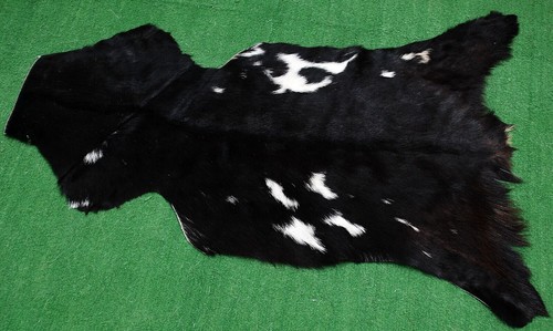 Genuine goat hide hair - goat,