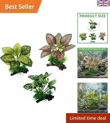 Pet safe pack - pet,