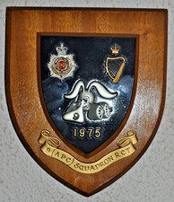 9 (APC)  Squadron Royal Corps