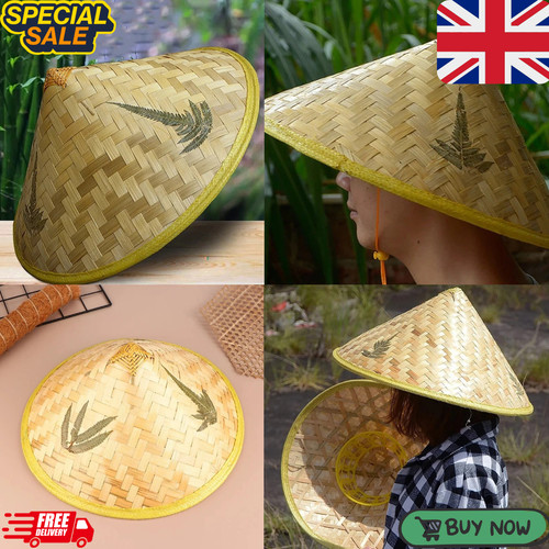 Bamboo hat chinese - hat,