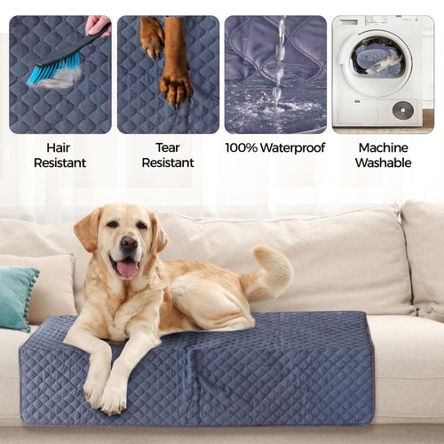Dog blanket washable - dog,