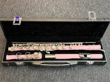 Slade Pink Flute In Case