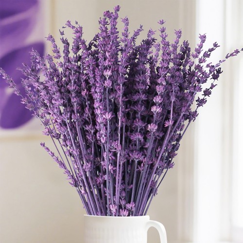 Celblisora 56g dried - 56g, lavender