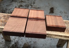 Sapele Bowl Blank / Wood